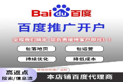 百度运营推广策略：成功案例解析